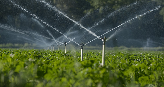 喷水器在灌溉田地图片