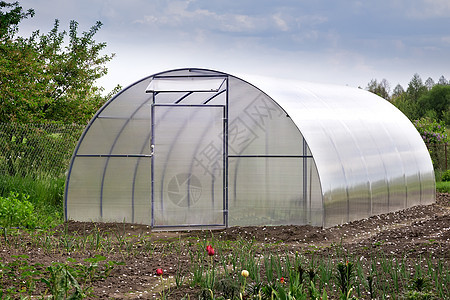 花园里的小温室农业收成土壤塑料绿色树叶阳光生长框架蔬菜图片