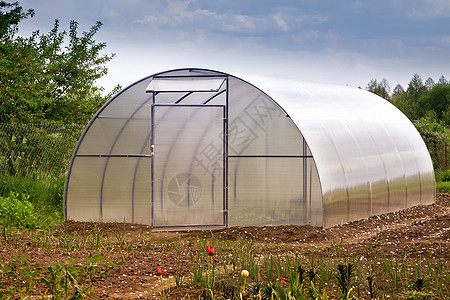 花园里的小温室园艺植物食物收成农场土壤绿色家庭框架蔬菜图片