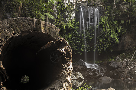 瀑布在Tambourine山的瀑布热带腹地遗产岩石森林溪流公园边界国家旅行图片