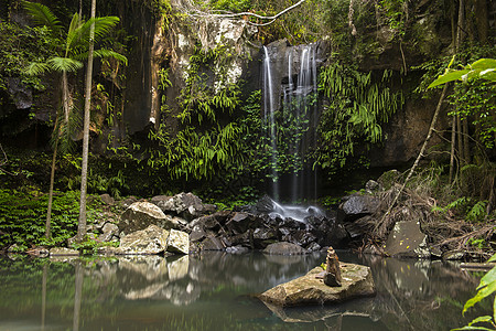 瀑布在Tambourine山的瀑布岩石铃鼓旅行环境公园溪流荒野腹地遗产风景图片