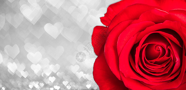 玫瑰和心魅力庆典礼物卡片火花红色背景问候语辉光热情图片