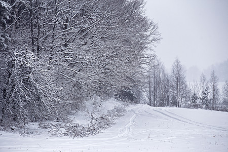 冬天的雪瀑和冰雪路 冬季的雪漂移国家季节降雪冻结寒意危险森林分支机构旅行图片