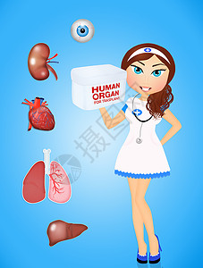 用于移植的器官捐赠者微笑手术放射科医院插图平板护士女孩外科职业背景图片