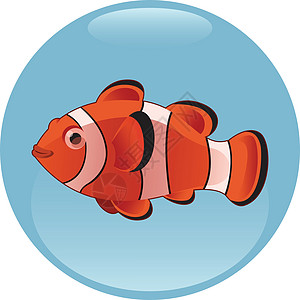 小丑鱼两栖卡通片插图海洋橙子微笑盐水宠物生活水族馆图片