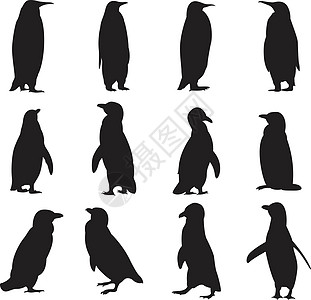 企鹅剪影的集合高清图片