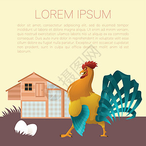 鸡舍横幅与公鸡农业农场动物家禽母鸡食物谷仓栖息小鸡国家图片