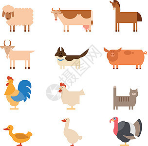 农场动物牛奶山羊兔子牛肉农业公鸡动物园火鸡卡通片插图图片