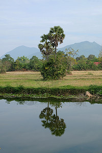 泰王国的外地古老地貌景观农村文化公园旅行花园天空房子木头绿色图片