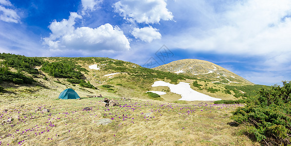 在山地和天空背景的鳄鱼间布设图片