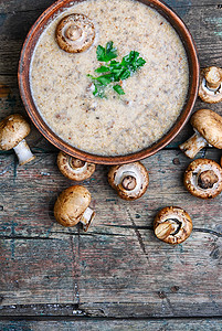 土豆汤加辣椒汤美食乡村香菜奶油香气季节性肉汤棕色蘑菇奶油状图片