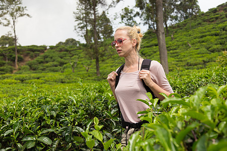 斯里兰卡茶叶种植园美丽的女旅游者 享有美貌的茶叶种植园植物空气游客农业环境场地女性背包女士绿色植物图片