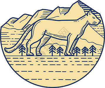 美洲狮山狮子树单线线宽大猫外观艺术品画线野生动物猫科动物狮子插图图片