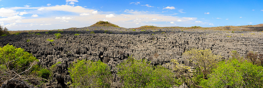 马达加斯加安卡拉的青金岩层植物石灰石热带旅游岩石国家风景荒野侵蚀生态图片