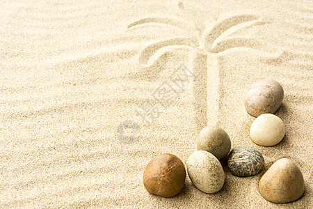 沙石团体阳光风景海岸海滩黄色杂色金子图片