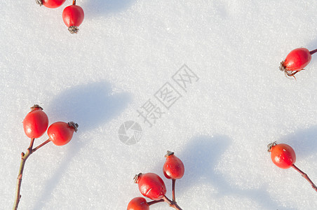 水果思慕雪冬季雪底背景 装饰着玫瑰臀浆果纹理枝条荒野水晶宏观水果白霜季节冻结植物背景