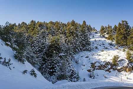 希腊南佩罗蓬涅斯 西里亚山冬日被雪覆盖晴天旅游季节旅行娱乐假期天气森林国家云杉图片