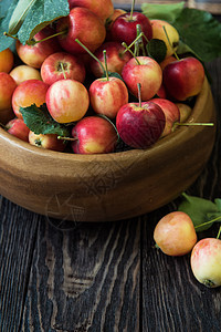 苹果新鲜收获阳光木头生长农村叶子花园水果太阳健康饮食图片