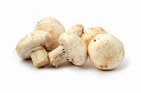 培养蘑菇的新的和高质量的新形象食物生产图片背景图片