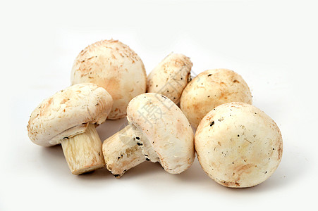 培养蘑菇的新的和高质量的新形象生产食物图片背景图片