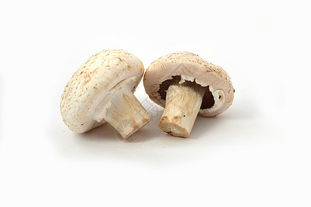 培养蘑菇的新的和高质量的新形象生产食物图片背景图片