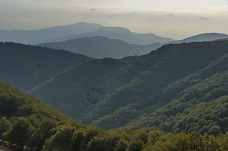 中巴尔干山 贝克梅托或特洛伊山口的山区森林图片