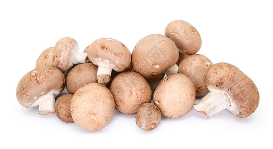 堆积的栗子蘑菇 盛有帽子和树尾图片