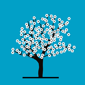 立体樱桃树季节粉色程式化白色植物蓝色艺术插图樱花图片