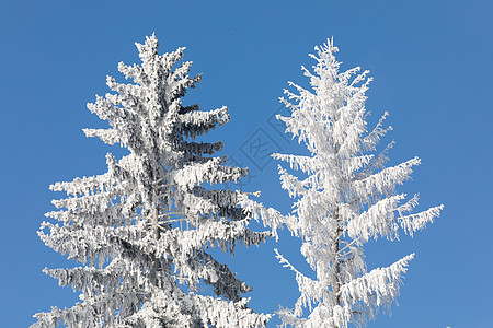 冬季风景和农村道路中的雪树车道下雪刨冰晴天国家日出季节天气地平线环境图片