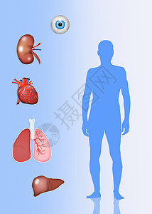 器官捐赠者眼睛男人药品捐献者身体手术协会疾病肾脏外科背景图片