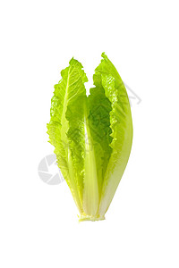 红霉素生菜心脏蔬菜树叶食物沙拉图片