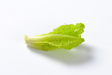 红霉素生菜心脏蔬菜食物树叶沙拉图片