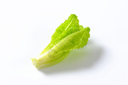 红霉素生菜心脏沙拉食物树叶蔬菜图片