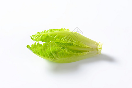 红霉素生菜心脏树叶蔬菜沙拉食物图片