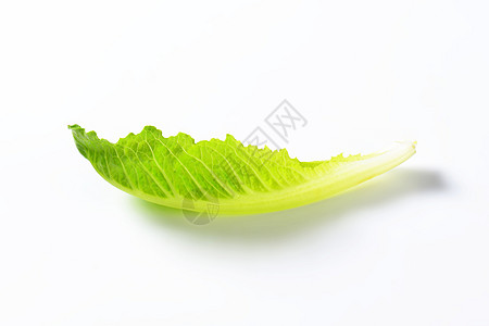 红霉素生菜叶蔬菜食物沙拉叶子图片