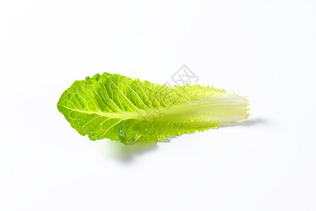 红霉素生菜叶叶子食物蔬菜沙拉图片