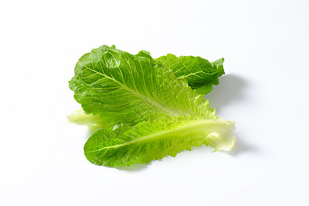 色调生素树叶蔬菜食物沙拉图片
