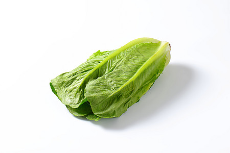 红霉素生料头食物树叶沙拉蔬菜图片