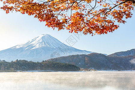 枫叶荻花秋瑟瑟秋秋藤山火山杂草枫叶红树芦苇花园公吨草原红假枫树背景