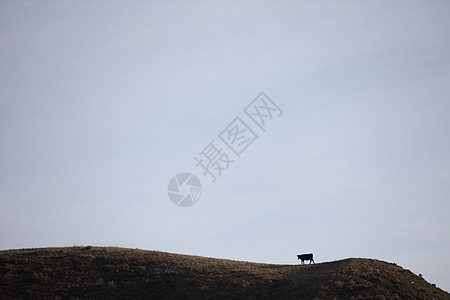 加拿大萨斯喀彻温风景地标城堡天空旅行岩层山谷植被泥泞荒地图片