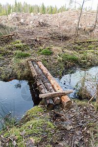 跨越一条小溪的木材大桥图片