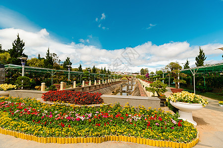 阳光明媚 花朵多彩的春春夏公园晴天植物群园林旅行场地树木灌木丛草地土地花瓣图片