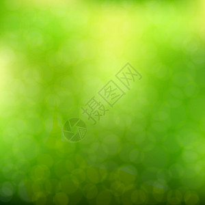 模糊的绿色背景太阳晴天艺术光束森林叶子季节桌面气泡天空图片