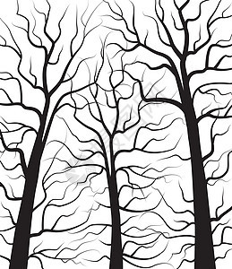林林景观叶子生长绘画卡片生态艺术植物环境气候森林图片