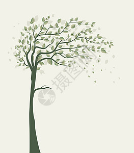 带假的树邀请函叶子生态绘画植物树枝边界木头生活环境图片
