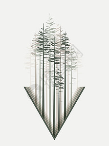 林林景观环境插图生长树干艺术植物生态荒野叶子公园图片