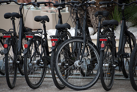 街上骑自行车 租车服务销售轮子运动驾驶旅游公园交通生态旅行街道背景图片