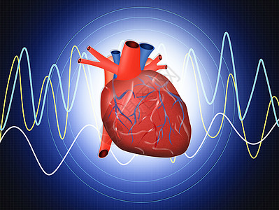 心脏病检查插图外科捐赠者药品器官系统肌肉动脉疾病捐献者背景图片