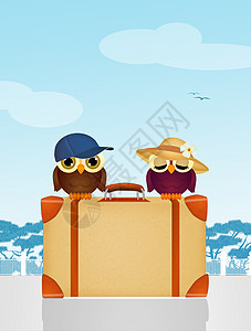 手提箱上的旅行猫头鹰夫妻动物卡通片鸟类明信片行李插画旅游帽子图片