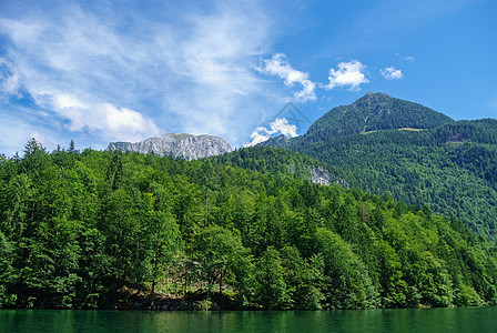 德国巴伐利亚Koenigssee山湖沿岸森林图片